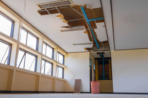 Best Water damage mitigation services  in Byron, CA