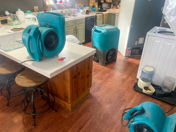 Best Sewage cleanup and water damage restoration  in Byron, CA