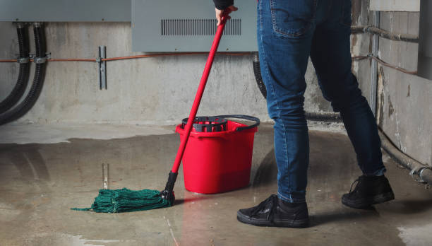 Best Water damage restoration near me  in Byron, CA