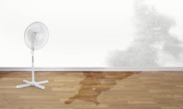 Best Local water damage restoration  in Byron, CA
