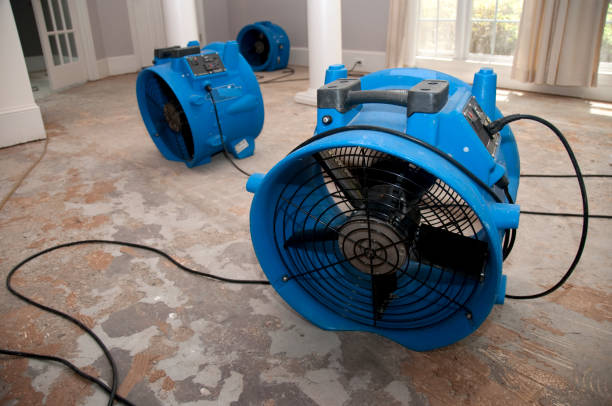 Best Mold removal after water damage  in Byron, CA