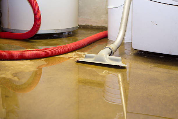 Sewage cleanup and water damage restoration in Byron, CA