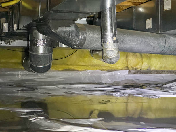 Best Basement water damage restoration  in Byron, CA